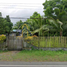  Land for rent in San Luis, Central Luzon, San Luis, Aurora