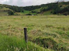  Terreno (Parcela) en venta en Rumiñahui, Pichincha, Sangolqui, Rumiñahui