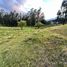  Land for sale in Loja, Loja, Loja, Loja