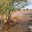  Land for rent in Culiacan, Sinaloa, Culiacan, Sinaloa