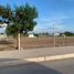  Land for rent in Culiacan, Sinaloa, Culiacan, Sinaloa