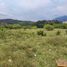  Land for sale in Piedecuesta, Santander, Piedecuesta