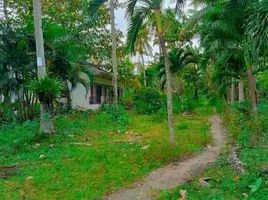  Land for sale in San Remigio, Cebu, San Remigio