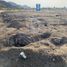  Terreno (Parcela) en venta en Asia, Lima, Asia