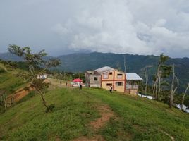  Land for sale in Cebu Central Visayas, Cebu City, Cebu