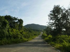  토지을(를) Balamban, 중앙 비 사야에서 판매합니다., Balamban