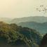  토지을(를) Balamban, 중앙 비 사야에서 판매합니다., Balamban