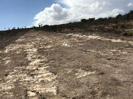 在Hidalgo出售的 土地, San Agustin Tlaxiaca, Hidalgo