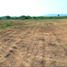 Terrain à vendre à Dist Juquila, Oaxaca, Dist Juquila, Oaxaca, Mexique