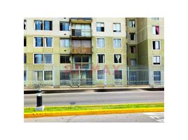 4 chambre Appartement for sale in Lima, San Miguel, Lima, Lima