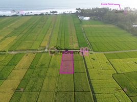  Land for sale in Kerambitan, Tabanan, Kerambitan