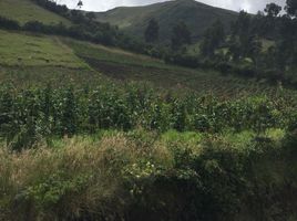  Terreno (Parcela) en venta en Imbabura, Gonzalez Suarez, Otavalo, Imbabura