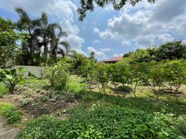  Terreno (Parcela) en venta en Muntinlupa City, Metro Manila, Muntinlupa City, Southern District, Metro Manila