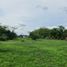  Terreno (Parcela) en venta en Tuxpan, Nayarit, Tuxpan