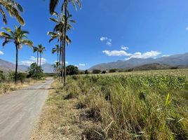  Land for sale in Loja, Catamayo La Toma, Catamayo, Loja