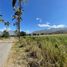  Land for sale in Catamayo La Toma, Loja, Catamayo La Toma, Catamayo