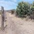  Land for sale in Charo, Michoacan, Charo