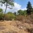  Land for sale in Zapopan, Jalisco, Zapopan, Jalisco