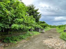 Terrain à vendre à Calamba City, Calabarzon, Calamba City