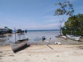  Grundstück zu verkaufen in Calatagan, Calabarzon, Calatagan