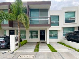 Maison 3 chambre à louer à Queretaro, Queretaro, Queretaro, Queretaro