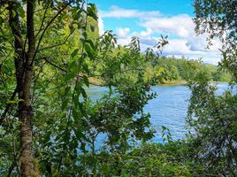  Land for sale in Mariquina, Valdivia, Mariquina