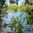  Land for sale in Mariquina, Valdivia, Mariquina