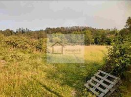  Terreno (Parcela) en venta en Aeródromo "Los Maitenes", Mariquina, Mariquina