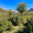  Terreno (Parcela) en venta en Chile, Aisen, Aisén, Aisén del General Carlos Ibáñez del Campo, Chile