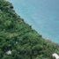  Land for sale in Cebu Central Visayas, Poro