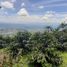  Land for sale in Dosquebradas, Risaralda, Dosquebradas