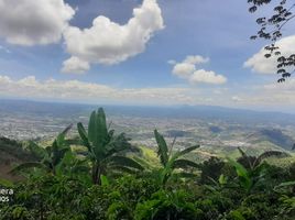  Land for sale in Dosquebradas, Risaralda, Dosquebradas