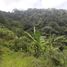  Land for sale in Dosquebradas, Risaralda, Dosquebradas