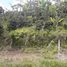  Land for sale in Dosquebradas, Risaralda, Dosquebradas