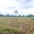  Land for sale in Quevedo, Los Rios, Quevedo, Quevedo