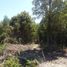  Land for sale in Llanquihue, Los Lagos, Puerto Varas, Llanquihue