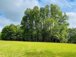  Terreno (Parcela) en venta en Araucanía, Villarrica, Cautín, Araucanía