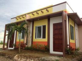 2 Schlafzimmer Haus zu verkaufen in Cebu, Central Visayas, San Remigio