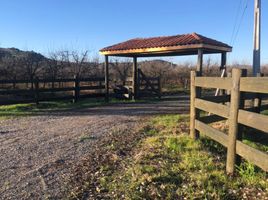  Land for sale in Colchagua Libertador General Bernardo Ohiggins, Santa Cruz, Colchagua