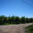  Land for sale in Colchagua Libertador General Bernardo Ohiggins, Santa Cruz, Colchagua