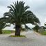  Land for sale in Tumbaco, Pichincha, Tumbaco