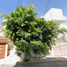 2 Habitación Casa en venta en Benito Juarez, Ciudad de México, Benito Juarez
