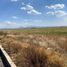  Land for sale in Tolcayuca, Hidalgo, Tolcayuca
