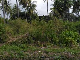  Grundstück zu verkaufen in Negros Oriental, Negros Island Region, Bacong