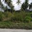  Grundstück zu verkaufen in Negros Oriental, Negros Island Region, Bacong