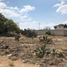 Terrain à vendre à Hueypoxtla, Mexico, Hueypoxtla