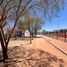  Terreno (Parcela) en alquiler en Hermosillo, Sonora, Hermosillo