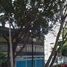 2 Schlafzimmer Wohnung zu vermieten in Miguel Hidalgo, Mexico City, Miguel Hidalgo, Mexico City