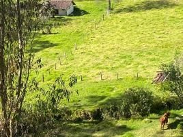  Terreno (Parcela) en venta en Azuay, Valle, Cuenca, Azuay