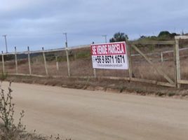  Terreno (Parcela) en venta en Chile, El Quisco, San Antonio, Valparaíso, Chile